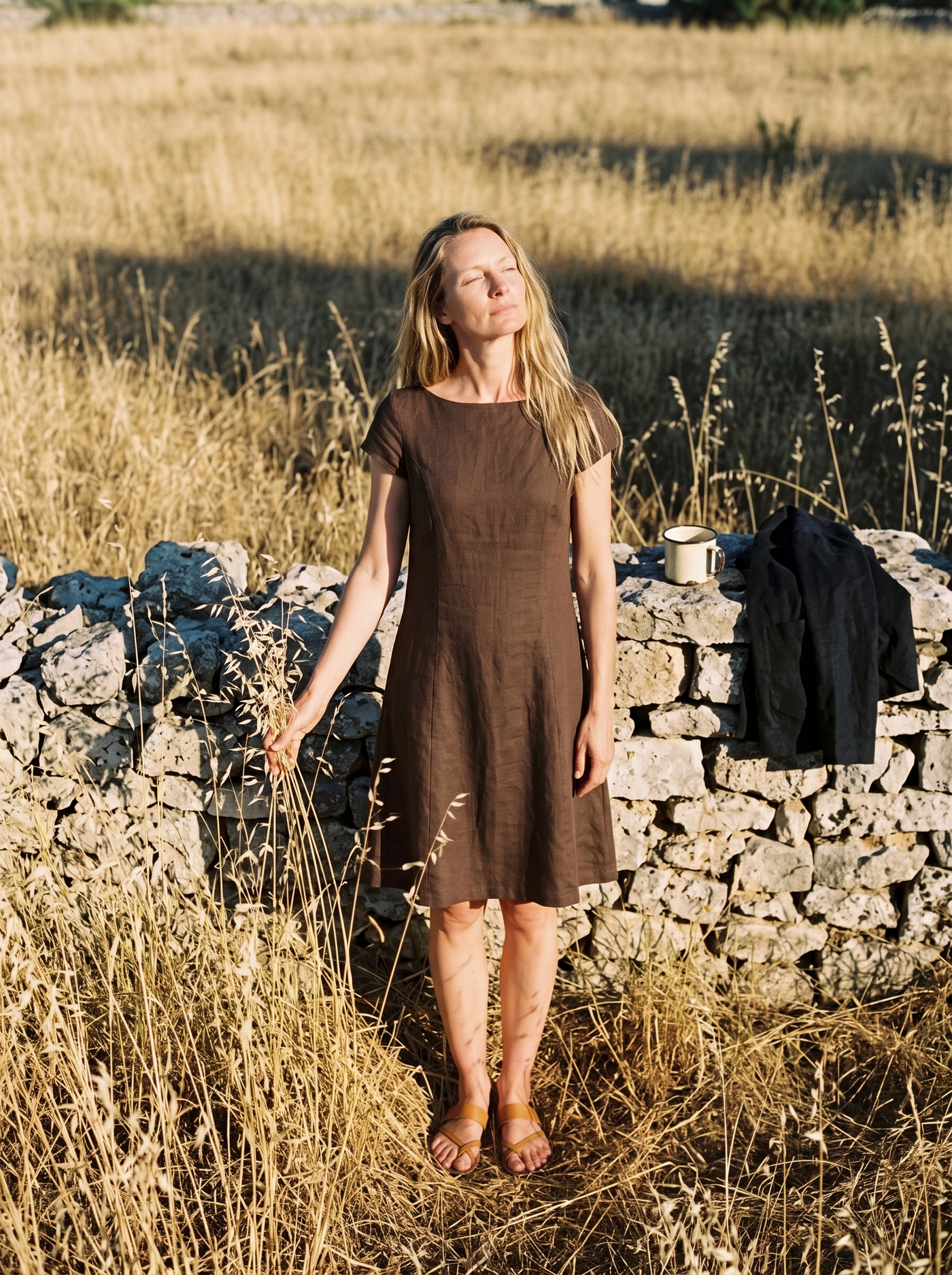 Cap Sleeve Linen Dress